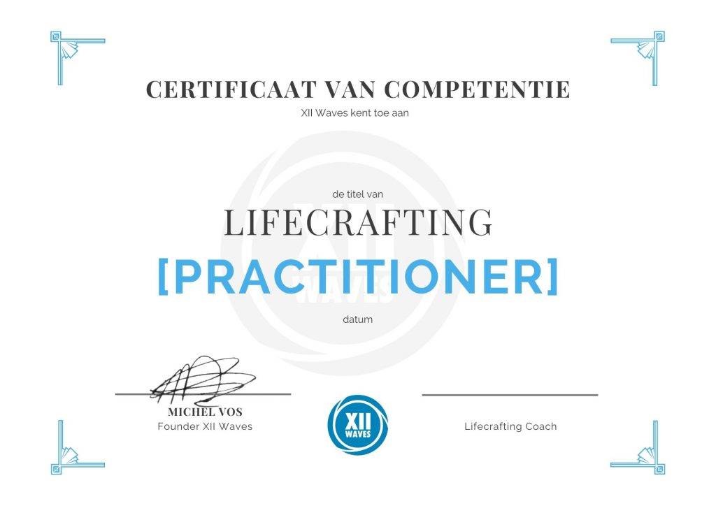 lifecrafting practitioner xii waves academy michel vos
